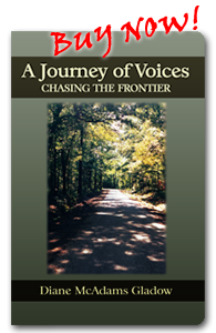 journey of voices journey of voices buy now book
